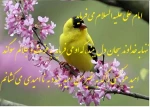تلاش1