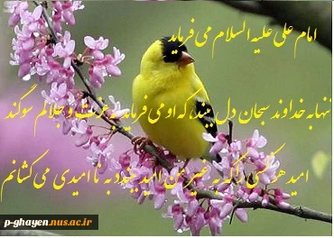 تلاش1