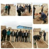 درختکاری