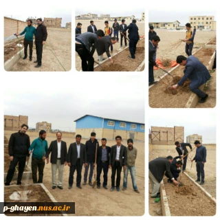گزارش مصور از برنامه نهال کاری در محوطه دانشکده فنی و حرفه ای قاینات - شانزدهم اسفند ماه
