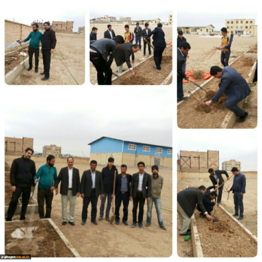 درختکاری