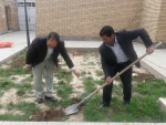 درختکاری