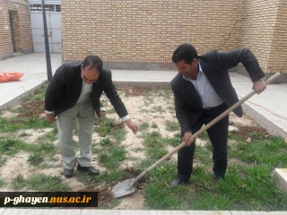 گزارش مصور از برنامه نهال کاری در محوطه دانشکده فنی و حرفه ای دختران  قاینات - شانزدهم اسفند ماه