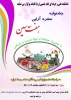 برگزاری مسابقه عکس و فیلم یک دقیقه ای از سفره هفت‌سین‌