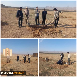 کاشت بیش از 200 نهال در روز درختکاری